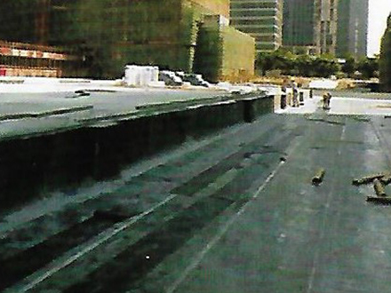 顺强黑豹防水涂料工程